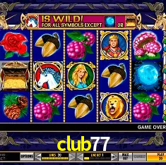 club77 Rio de Janeiro - Bonus Terms