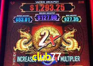 club77 Brasília - Casino Guide