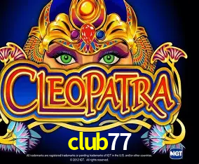 club77 Curitiba - Live Status